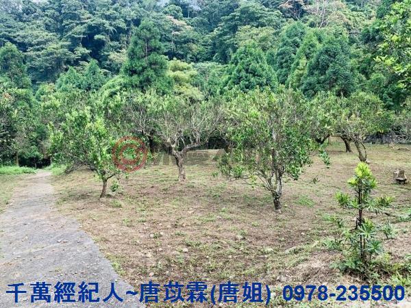 新竹竹東農舍-13