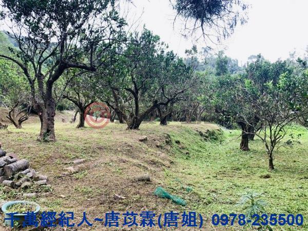 新竹竹東農舍-3