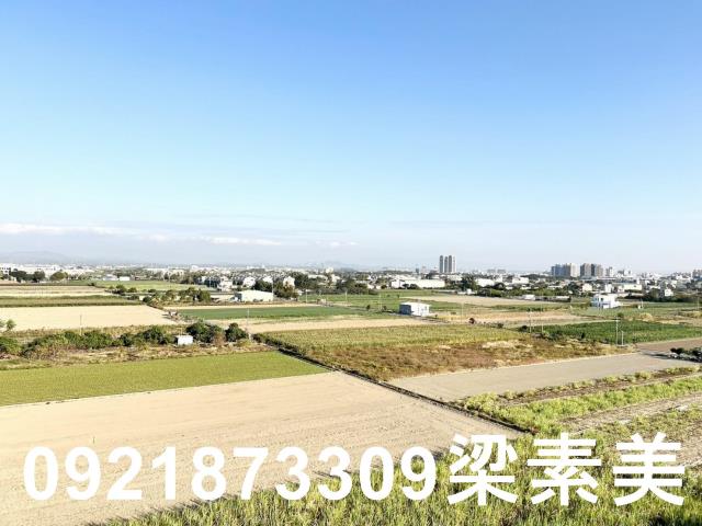 善化華廈-14