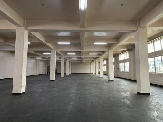 桃園八德廠房-2