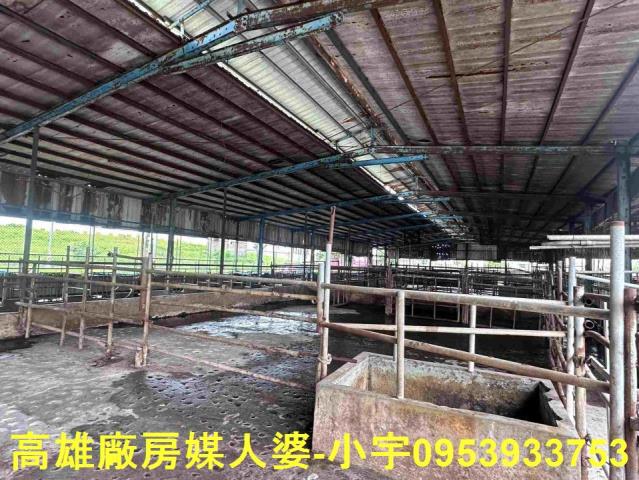 林園廠房-3