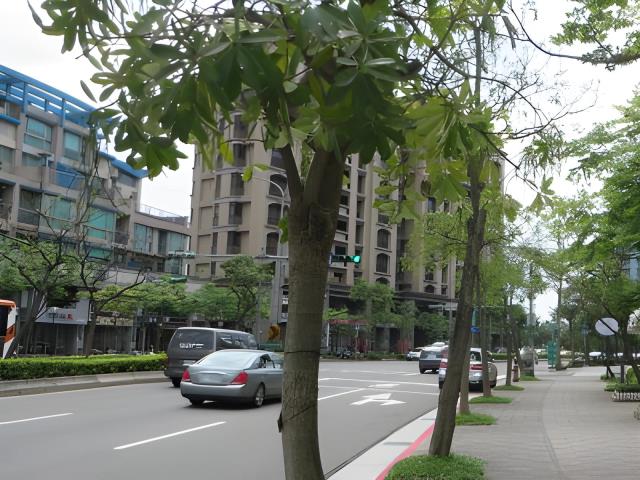 台北內湖法拍大樓-4