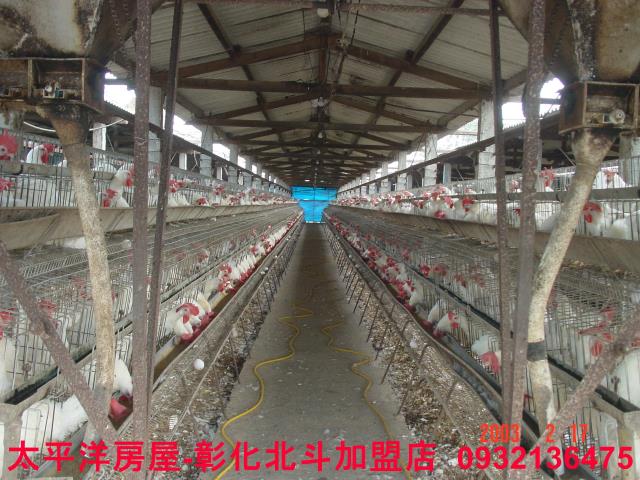 彰化二林農舍-9