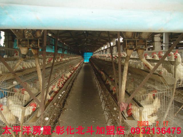 彰化二林農舍-8
