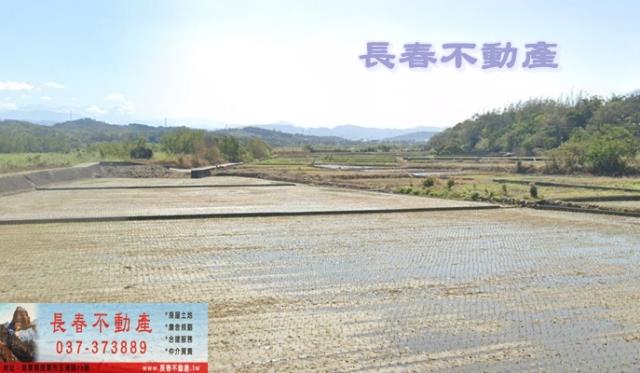 苗栗農地-1