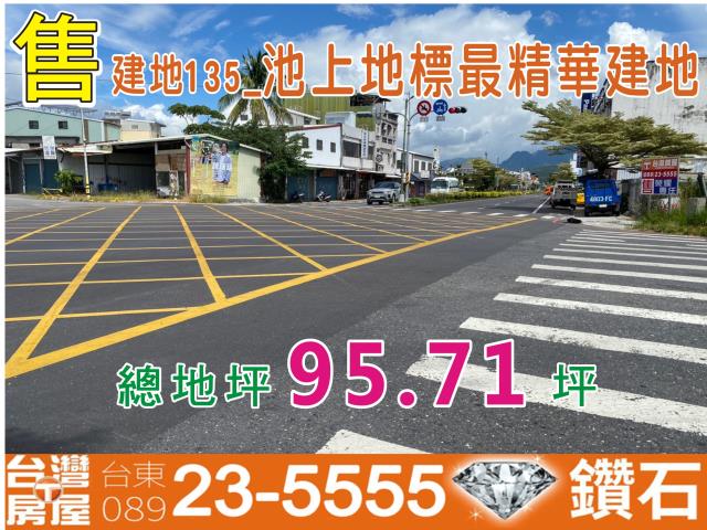 台東建地-1
