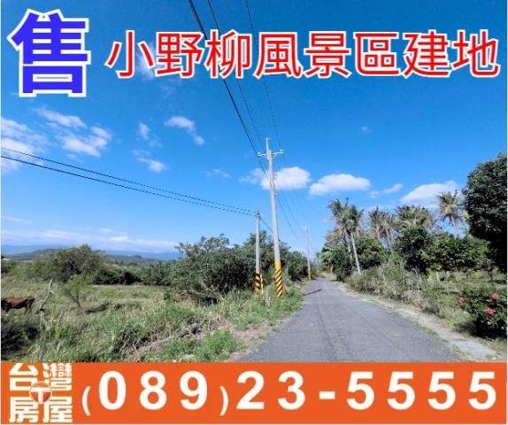小野柳風景區建地