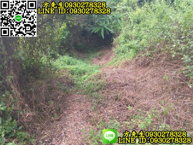 關廟農地-6