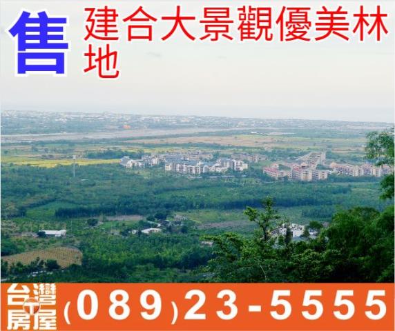 建合大景觀優美林地