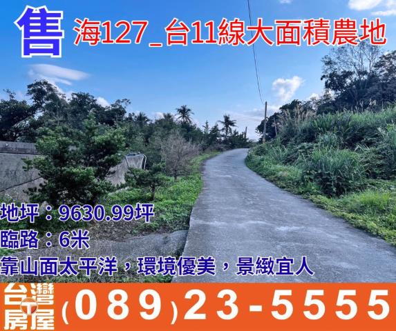 台11線大面積農地
