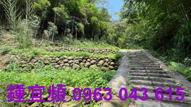 新竹農地-11