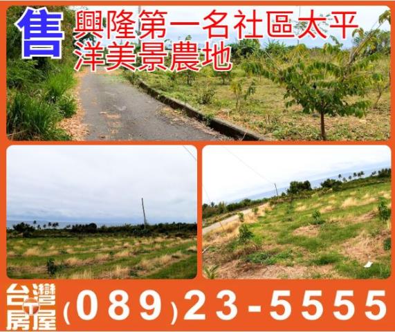 台東農地-1