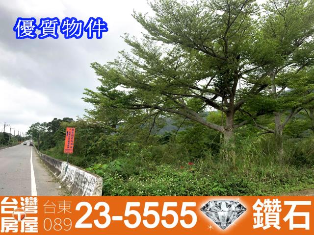 台東房仲