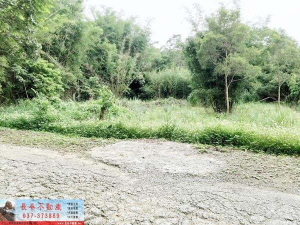 苗栗苗栗市建地-4