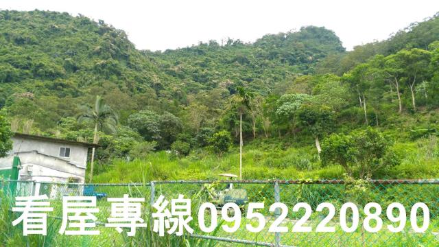 新店山坡地-4