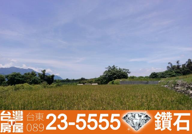 台東鹿野農地-13