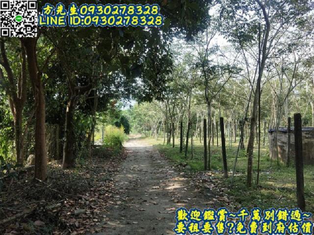 楠西農地-1