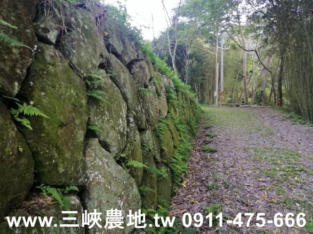 三峽農地-12