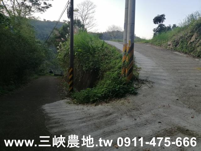 三峽農地-13