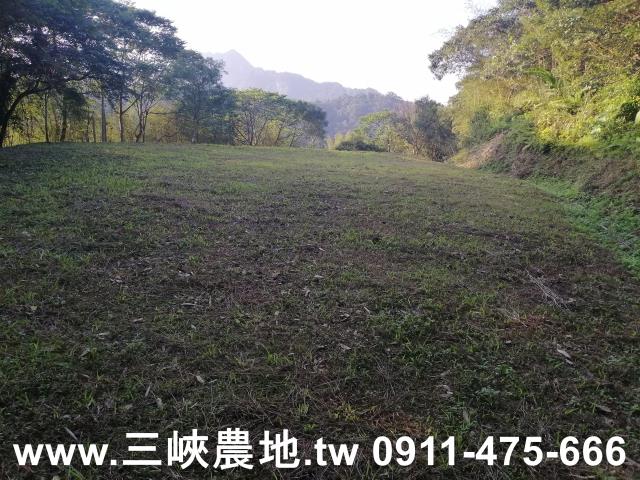 三峽農地-11