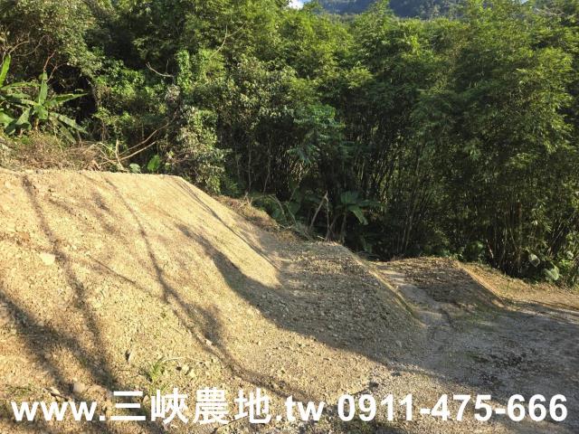 三峽農地-5