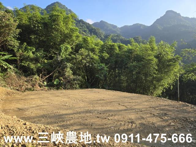三峽農地-9
