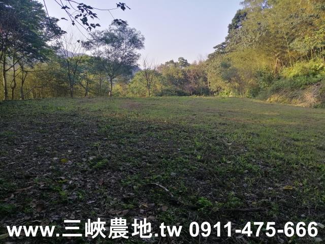 新北三峽農地-14
