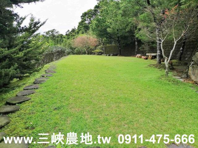 新北三峽農地-10