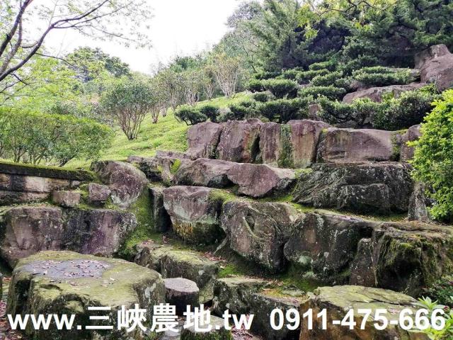 新北三峽農地-11