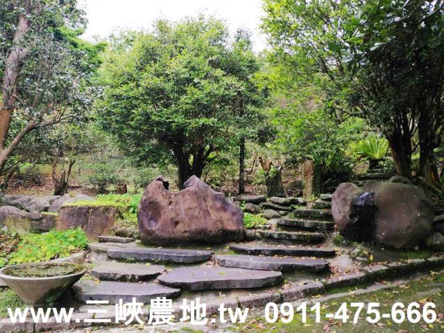 新北三峽農地-12