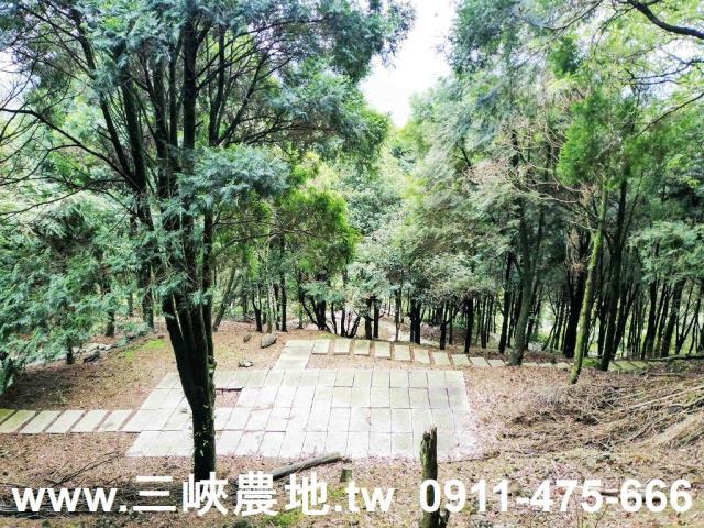 新北三峽農地-15