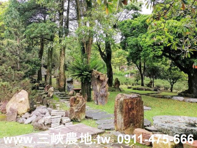 新北三峽農地-4