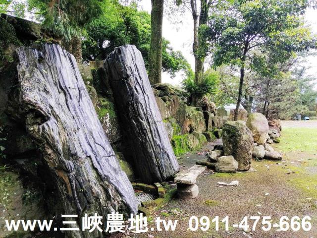新北三峽農地-1