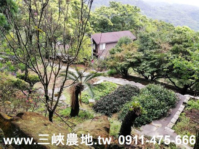 新北三峽農地-5