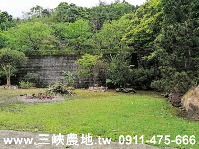 新北三峽農地-6