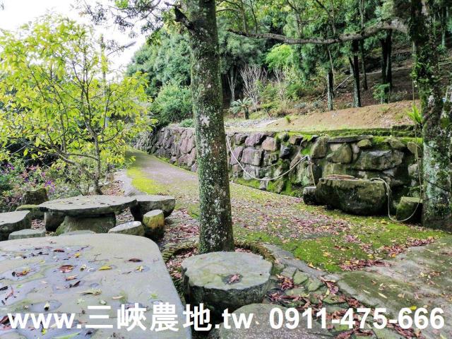 新北三峽農地-7