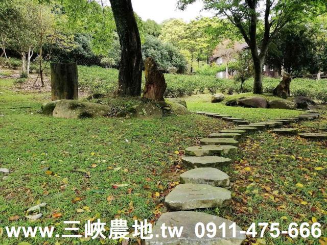 新北三峽農地-8