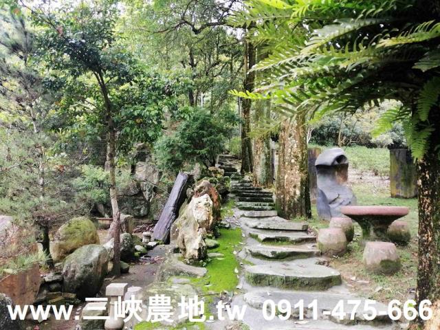 新北三峽農地-9