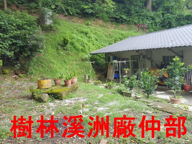 樹林農地-3