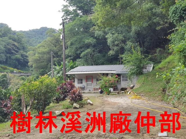 樹林農地-6