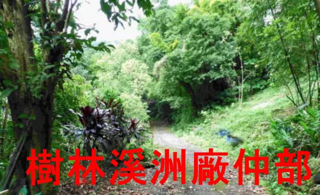 土城林地-2