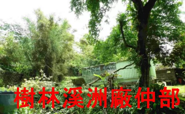 土城林地-5