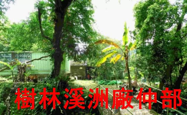 土城林地-6