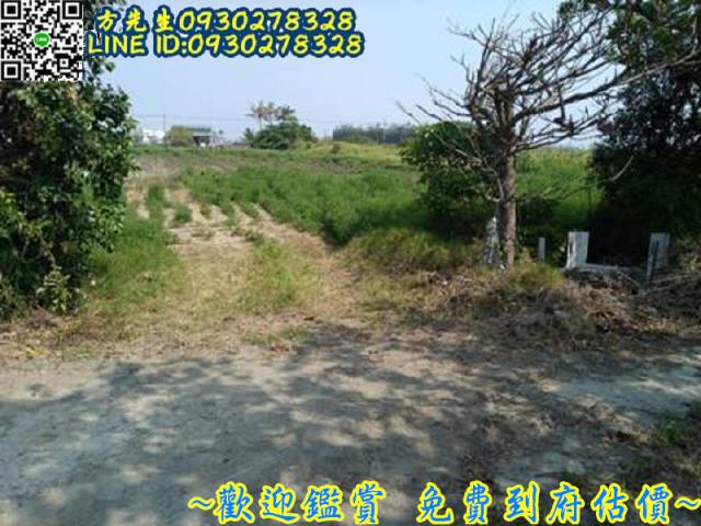 台南將軍農地-7