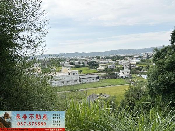 公館農地-11