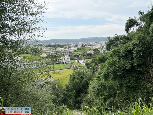 公館農地-12