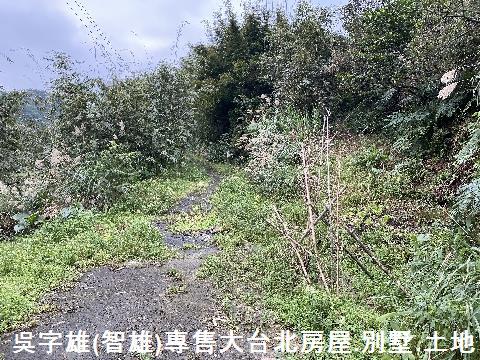 雙溪休閒地-3