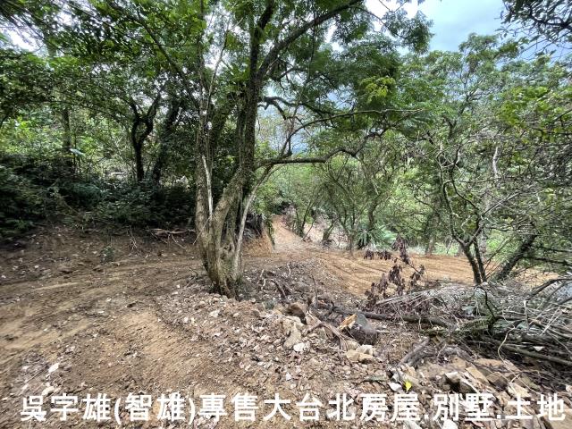 雙溪休閒地-7
