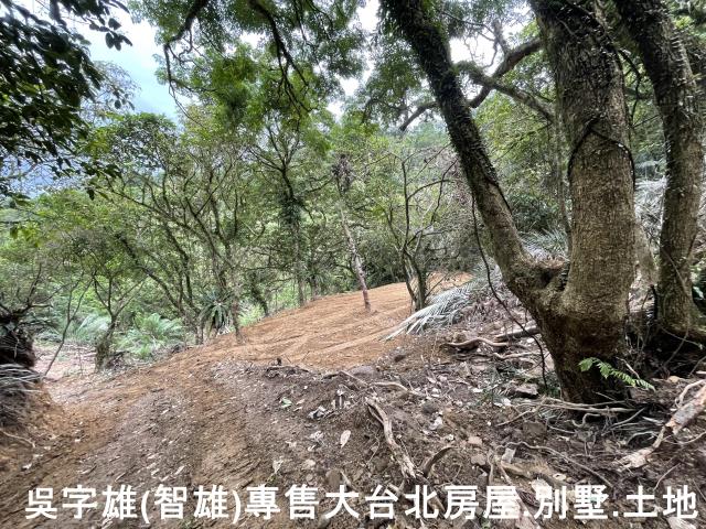 雙溪休閒地-8