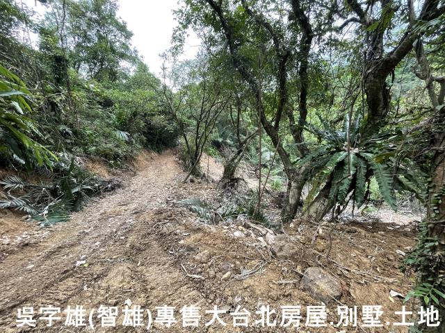 雙溪休閒地-9